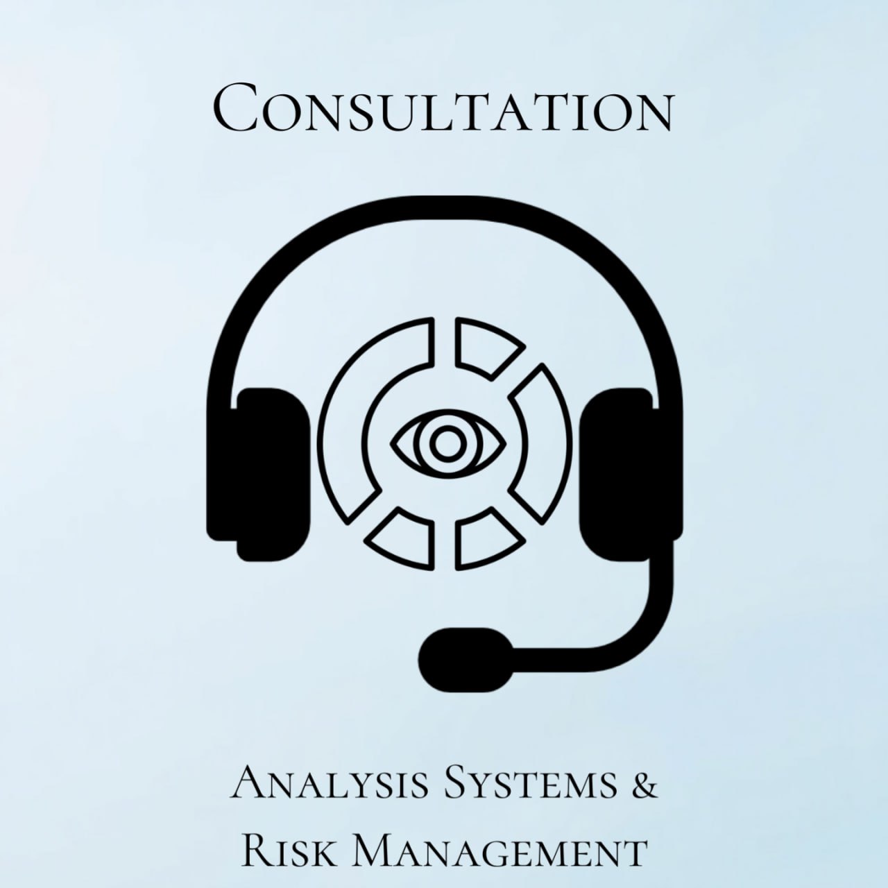 Consultation: Analysis Systems & Risk Management